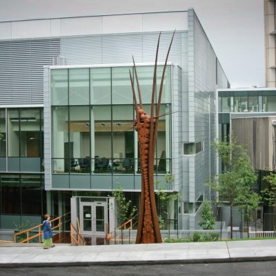 Retour, 2008 (Montréal)