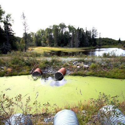 Milieux humides et cônes de déprédation de castors (Val-d'Or)