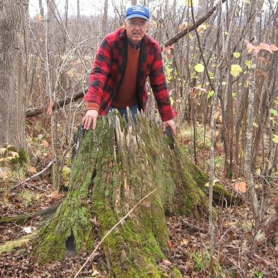 Photo de l’auteur et de la souche dans  laquelle le clou servant de point de départ aurait été planté