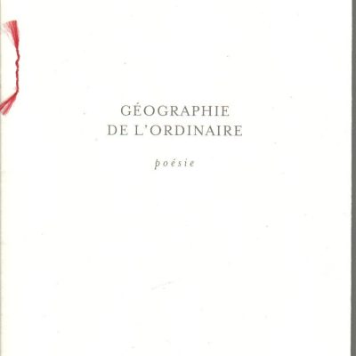 Lauzon, Nicolas. Géographie de l’ordinaire. Montréal : les éditions du passage, 2011. 