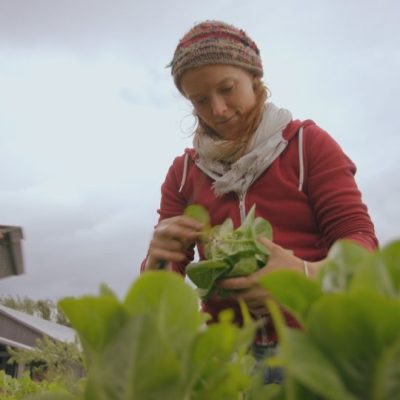 Image tirée de la série "Que mangera-t-on demain?"