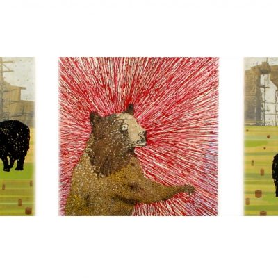 Donald Trépanier, La bleuetière