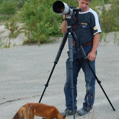Chaque fois que Luc Farrell installait son trépied, le renard Bob pointait son museau