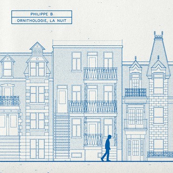 Ornithologie la nuit