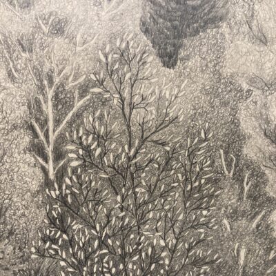 Crédit image : Lise Millette