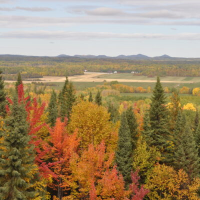 Crédit photo : Clémentine Cornille