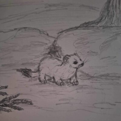 Crédit photo : Vicky Bergeron